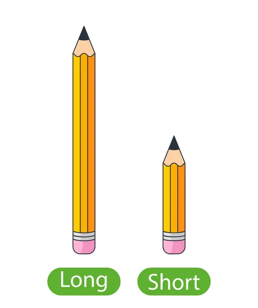 Lápis Longos Curtos Conceito Crianças Aprendendo Adjetivos Opostos Ilustração Vetorial — Vetor de Stock