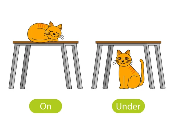 Cat Sleeps Table Sits Table Concept Children Learning Prepositions — Stock Vector