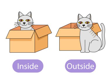 Kedi kutunun içinde ve kutunun yanında oturuyor. Çocukların ters edatları içten ve dıştan öğrenme kavramı. Beyaz arkaplanda izole edilmiş vektör illüstrasyonu