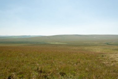 Açık mavi gökyüzünün altında, Güney Afrika 'da, Özgür Devlet' te bir konservatuarda, açık doğal çayırlar.
