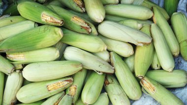 Hasattan çiğ mısır yığını. Güneydoğu Asya 'da yerel üretim ve otantik sokak pazarı atmosferi gösteriliyor