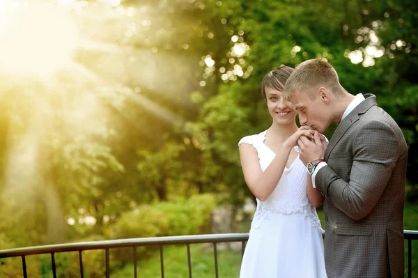 Mooie bruiloft paar samen — Stockfoto