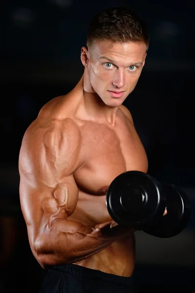 Handsome muscular bodybuilder man doing exercises in gym — Stock Photo, Image