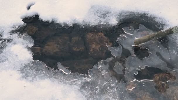 Παγόβουνο Νερό Τάφρου Ποταμός Ρέει Κάτω Από Τον Πάγο Χειμώνα — Αρχείο Βίντεο