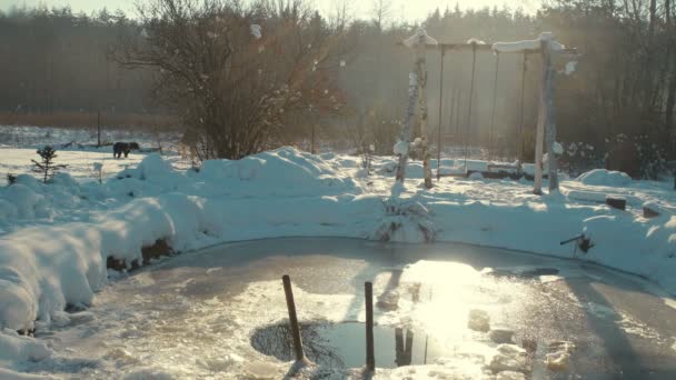 Pies Bawiący Się Śniegiem Pobliżu Lodowej Dziury Zimą Zewnątrz — Wideo stockowe