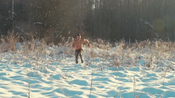 Omul Fitness Trunchi Gol Trece Prin Valea Înzăpezită Câmpul Forestier — Videoclip de stoc