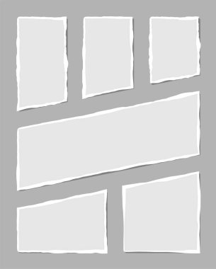 Yırtık beyaz banknot. Gri arka planda izole edilmiş çeşitli şekillerde yırtık kağıt parçaları. Vektör illüstrasyonu.