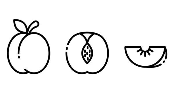 Контур Простой Векторный Персиковый Значок Изолирован Белом Фоне Eps — стоковый вектор
