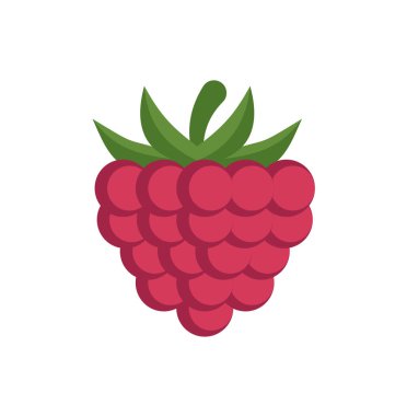 Ahududu vektör simgesi beyaz arka planda, düz çizgi film tarzında izole edilmiş. Web tasarımı ve baskısı için. 10 saniye.