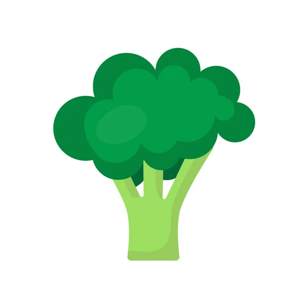 Broccoli Значок Білий Фон Плоский Стиль Друк Веб Дизайн — стоковий вектор