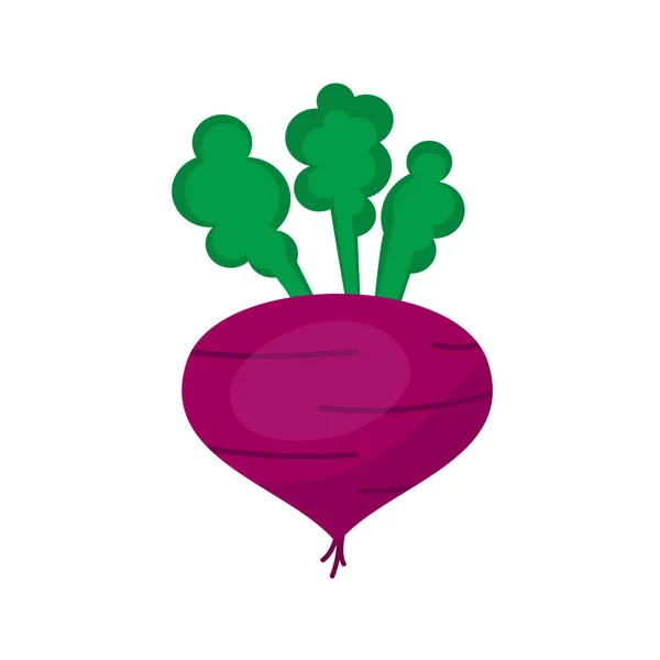 Beetroot Icon Белый Фон Плоский Стиль Печати Веб Дизайн — стоковый вектор