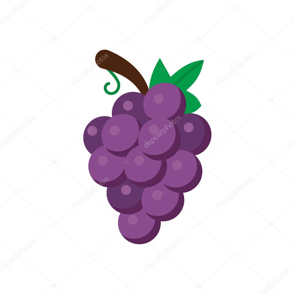 Grapes Icons White Background Flat Style Print Web Design