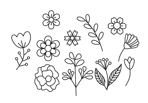 Набор Ручной Работы Цветы Листья Нового Дизайна Векторные Иллюстрации — стоковый вектор