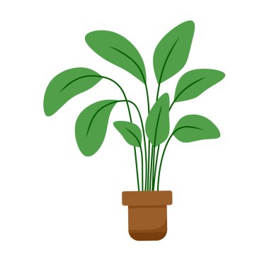 Kavanozdaki gerçekçi eğreltiotu. Süslü ev bitkisi. 10 saniye.