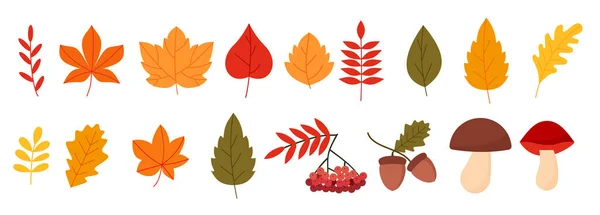 Цветной Набор Осенними Элементами Плоском Стиле Eps — стоковый вектор