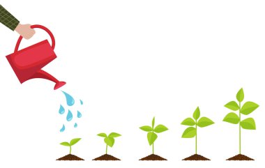 Bitkilerin filizden yetişkine sürekli büyümesi. Bitki yetiştirme aşamaları. Düz stil EPS 10 ile vektör illüstrasyonu