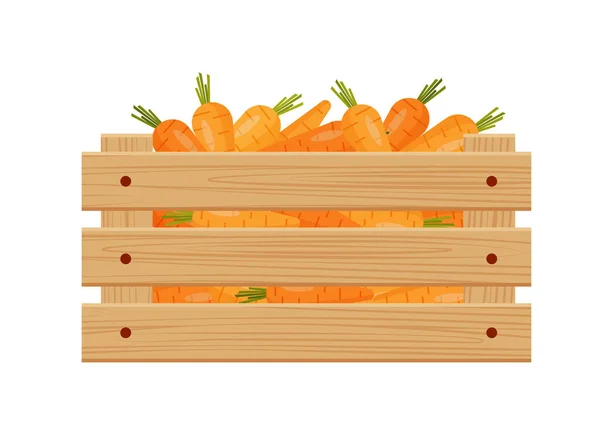 胡萝卜在木箱里 秋天的收获 被白色的背景隔离了Eps — 图库矢量图片