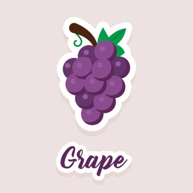 Şirin vektör çıkartması meyve üzümleri simgeleri. Düz stil. EPS 10