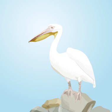 mavi bir arka plan üzerinde beyaz Pelikan