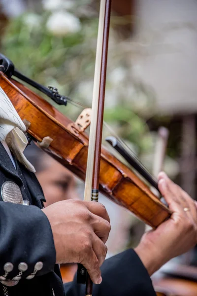 Mariachi kemancı seçici odak çekim