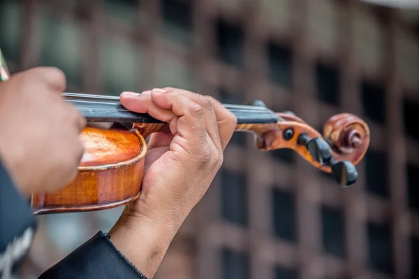 Mariachi kemancı seçici odak çekim