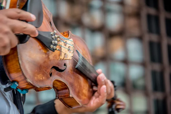 Mariachi kemancı seçici odak çekim