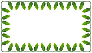 Dikdörtgen çerçeve yeşil ve etli bezelye bırakır