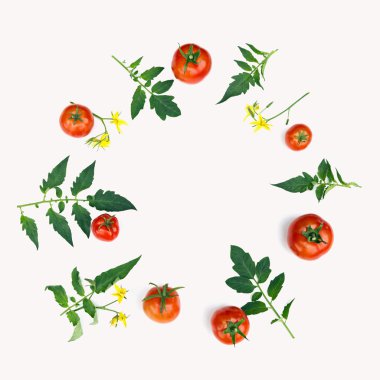 Domates, yaprak ve çiçek kompozisyon