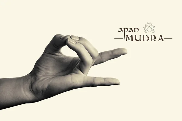 Apan mudra b-w — Zdjęcie stockowe