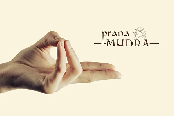 Prana mudra renk