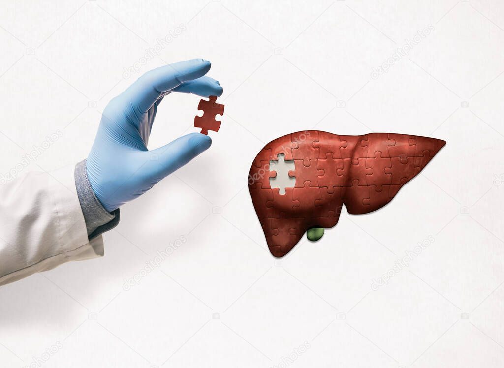Puzzle with illustration of liver and doctor's hand with the missing piece of puzzle. Liver treatment concept.