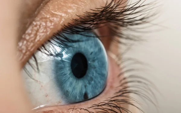 Menselijk Oog Met Blauwe Pupil Close — Stockfoto