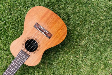 Beyaz ahşap telli klasik kahverengi akustik ukulele, caz ve rock konserine hazır bir folk müzik enstrümanı gibi yeşil çimlerin üzerinde duruyor.