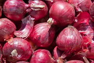 taze kırmızı soğan yığını