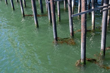 İskele kazıklara mavi-yeşil deniz suyu içinde