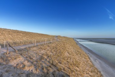 Hollanda'da yeni Dike