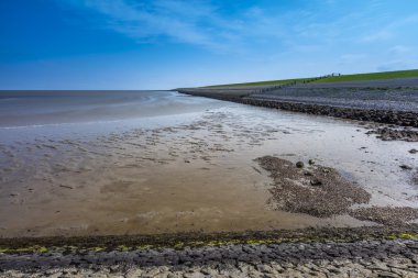 Wadden Denizi ve Dike