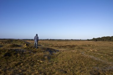 Moorland üzerinde seyir