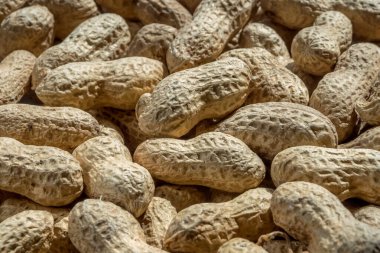 Fıstık kabuklu arka planda. Yumuşak odak.