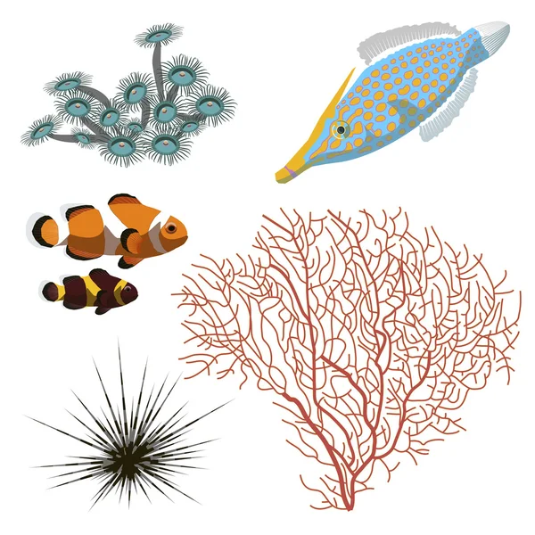 珊瑚、 海胆和鱼 — 图库矢量图片