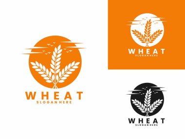 Günbatımlı buğday bitkisi ve kuş logosu tasarım vektör şablonu. Buğday logosu tasarımı simgesi