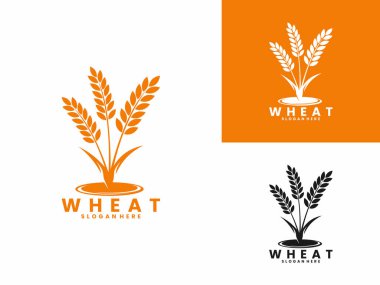 Su logosu tasarım şablonu olan buğday fabrikası. Buğday logosu tasarım vektörü