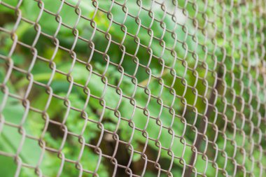 demir çit doğa amaç