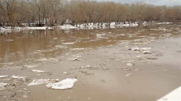 Río de manantial con agua marrón sucia y hielo. flotante de hielo — Vídeo de stock