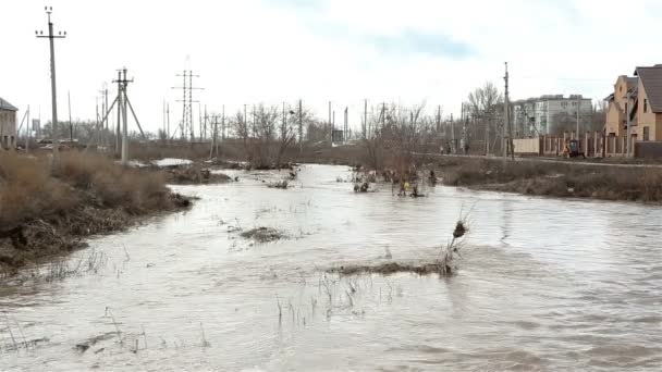 Sucio marrón río agua y basura — Vídeos de Stock