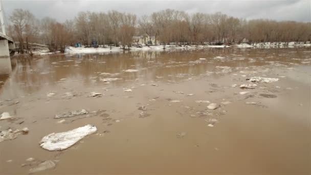 Весна река с грязной коричневой водой и льдом. поплавок льда — стоковое видео