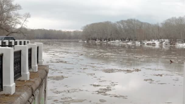 Río de manantial con agua marrón sucia y hielo. flotante de hielo — Vídeos de Stock