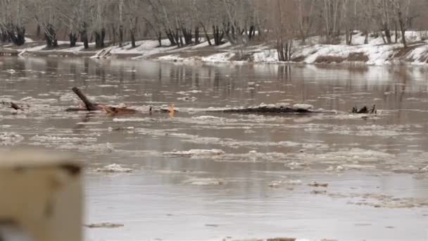 Río de manantial con agua marrón sucia y hielo. flotante de hielo — Vídeo de stock