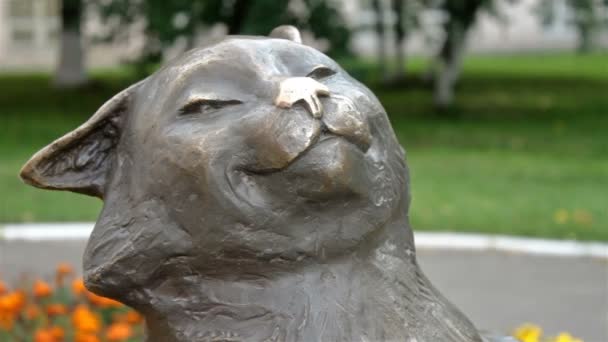 Close up shot of cats monumant — Stok Video