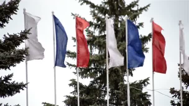 Geniş atış beyaz mavi ve kırmızı bayraklar — Stok video
